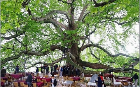 Full-Day Bursa City Tour from Istanbul with Lunch