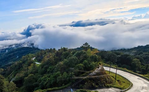 Explore Doi Intanon National Park from Chiang Mai