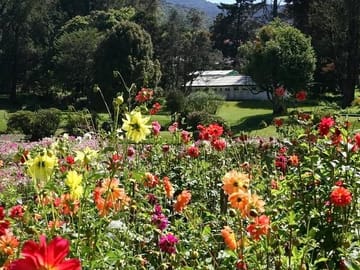 3-Day Nature and Culture Tour from Kandy to Nuwara Eliya