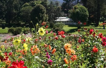 03 Day Tour Kandy and Nuwara Eliya from Kandy