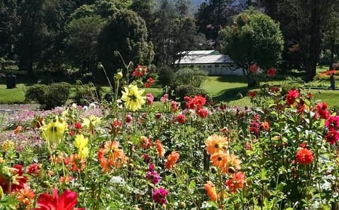 3-Day Nature and Culture Tour from Kandy to Nuwara Eliya
