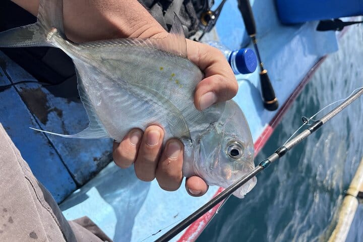 Private Tour :  3 Days Tour Package with snorkeling