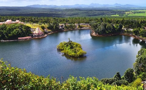 Private South Mauritius Tour: Tea Route with Pickup and Lunch