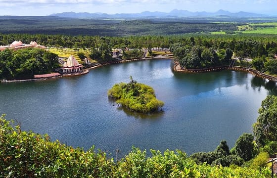 Tea Route: Private South Tour with Pickup and Lunch available