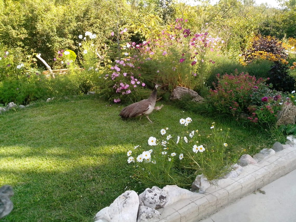 Ravadinovo Castle Unseen 10