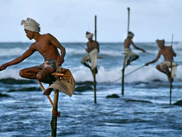 Southern-Sri-Lanka-Day-Trip-From-Colombo-2