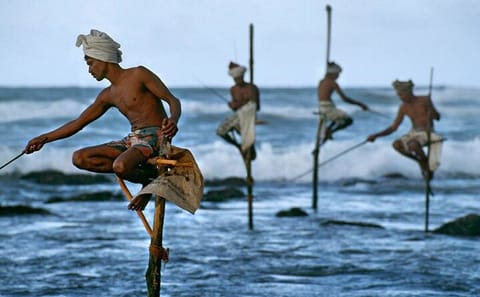 Southern Sri Lanka Day Trip: Galle, Kosgoda, and Negombo