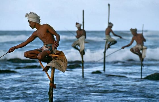 Southern Sri Lanka Day Trip From Colombo