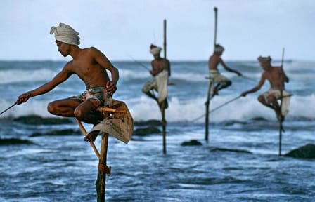 Southern Sri Lanka Day Trip: Galle, Kosgoda, and Negombo