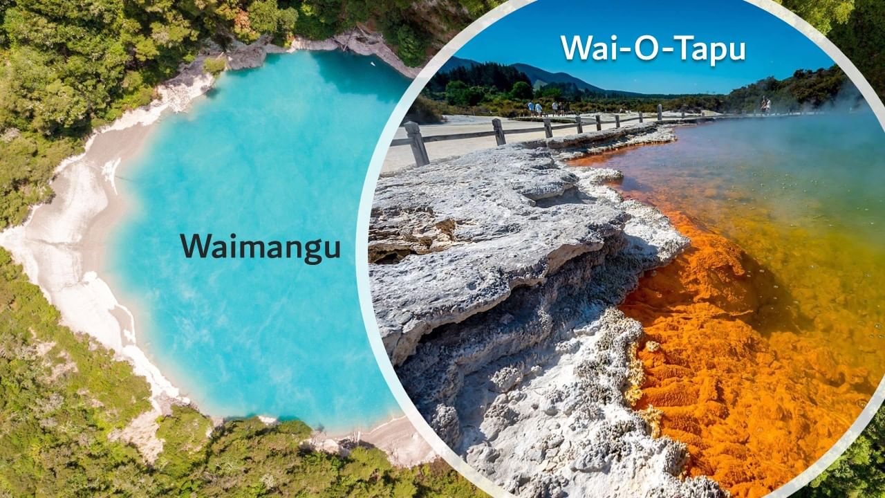 From Rotorua - Double Deal - WAIMANGU Volcanic Valley and WAI-O-TAPU Geothermal Wonderful: Half-Day Tour
