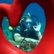 Diver through the heart
