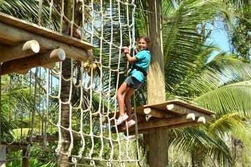 Zipline Adventure and Dunn's River Falls Tour in Ocho Rios