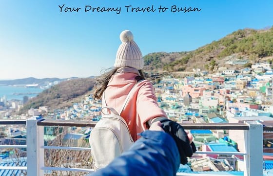 Full Day Private Busan Highlight Tour with Licensed Guide