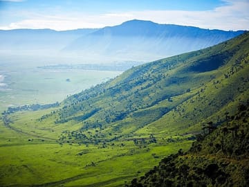 From Arusha: Ngorongoro Crater Day Tour