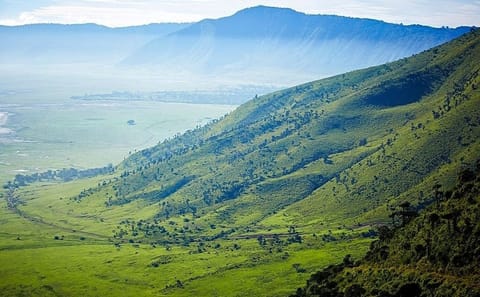 From Arusha: Ngorongoro Crater Day Tour