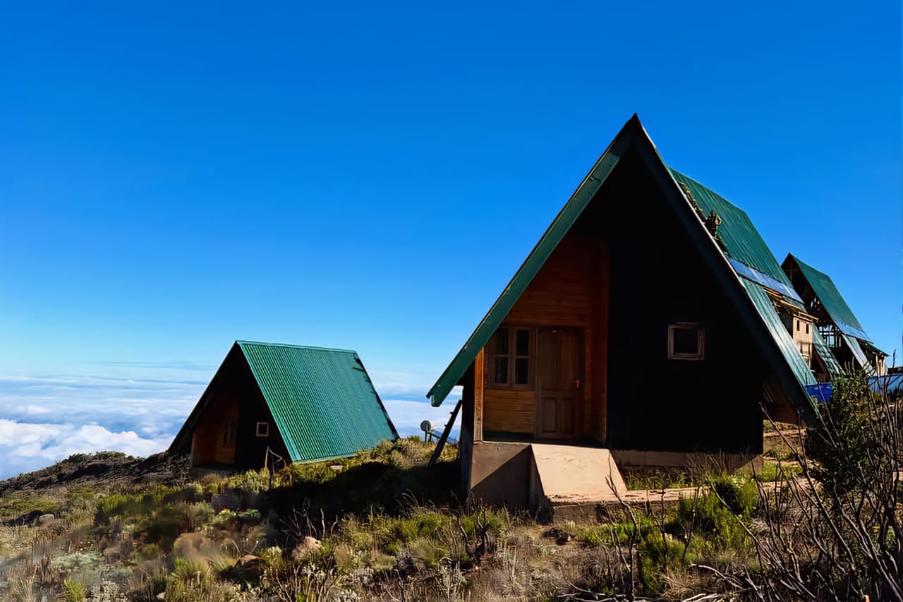 1-Day Mount Kilimanjaro Experience: Marangu Gate to Mandara Hut Day Hike 9