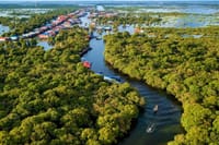 Prek Toal Birds Sanctuary & floating Village Private Tours from Siem Reap 10