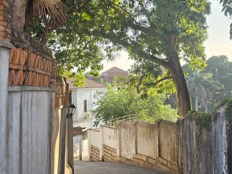 Half-Day Gulangyu Island Walking Tour from Xiamen