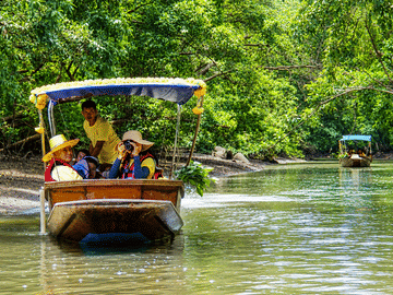Private Tour: Amphawa Floating Market, Monkey Feeding & Train Market
