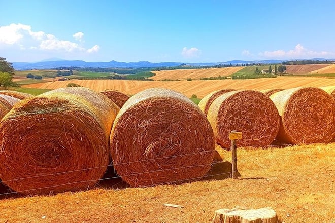 Siena–Pisa Scenic Transfer with San Gimignano Visit & Wine Lunch - Photo 1