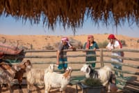 Dubai Evening Heritage Safari By Camel Caravan 1