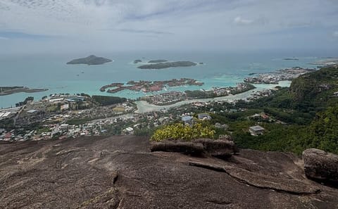 Private Bus Tour of Mahe Island's Au Cap and De Quincy