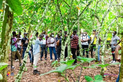 Learn Cocoa Production and Local Economy at Cocoa Farming Village