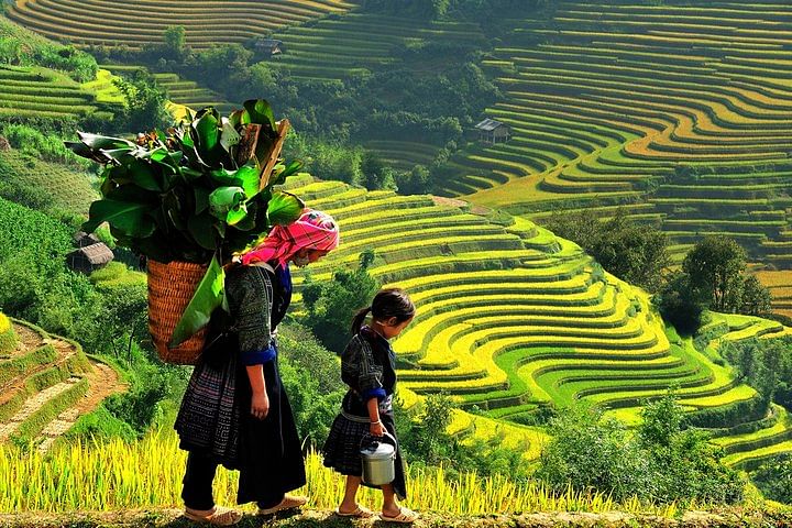 Explore North Vietnam: Hanoi, Sapa, Ninh Binh & Halong Bay Adventure