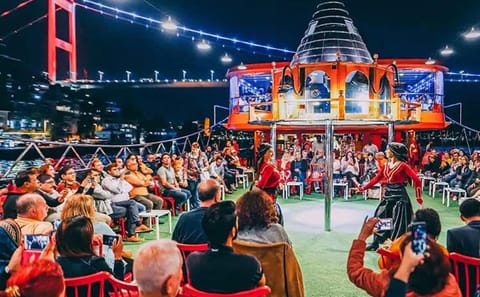 Bosphorus Dinner Cruise with Scenic Views of Istanbul