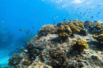 Krabi: Hong Islands Day Trip by Speedboat with Lunch