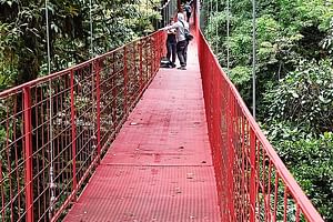 Monteverde Cloud Forest tour