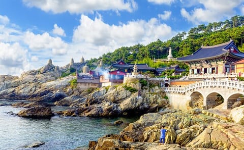 Small Group Busan City Tour with Hotel Pickup and Drop-off