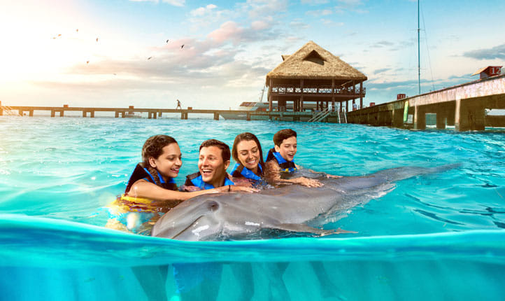 Dolphin Encounter en Isla Mujeres 3