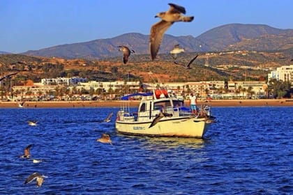 Boat trip in Agadir from Taghazoute