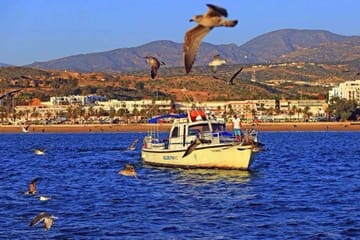 Boat Trip Adventure along Agadir's Stunning Coastline