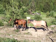 Local Adventures in the Rhodope Mountains 4