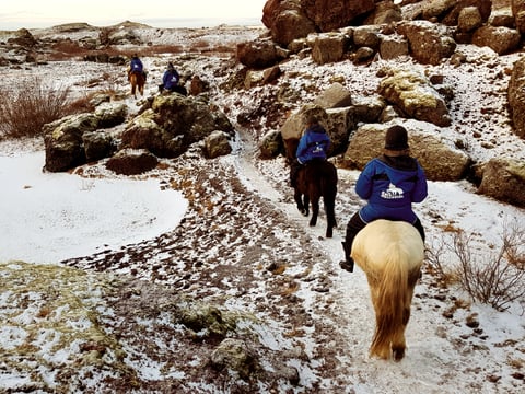 Red Lava Horse Riding Tour - Reykjavík, photo 3