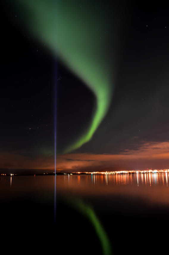 Whales & Auroras 3