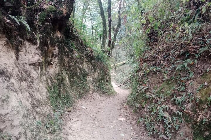 Himalayan Highlights: Chisapani, Nagarkot & Changunarayan Trek 7