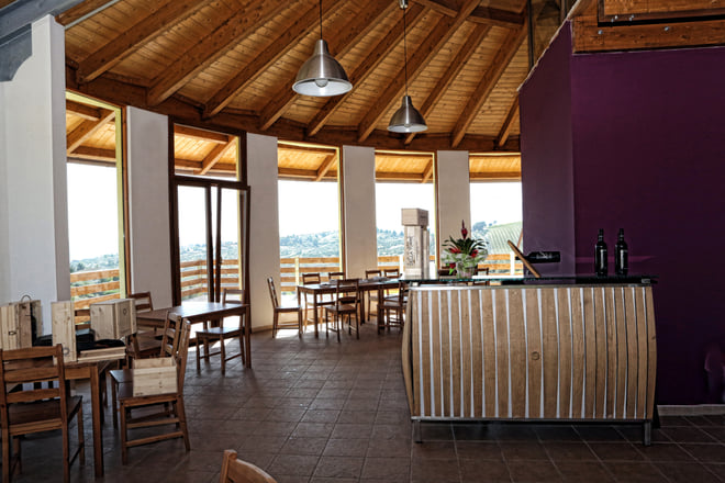Wine tour of the Podere Della Torre winery - Photo 1