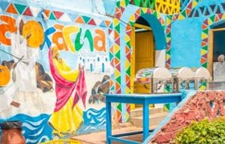 Nubian Eco Village Tour: Explore Nubian Culture in Aswan