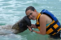 Manatee Encounter en Isla Mujeres 2
