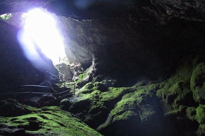 Athens Guided tour with views of Acropolis Parthenon Agora