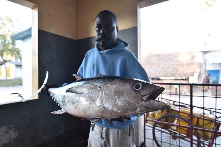 Transparent Kayak Adventure and Drone Experience in Zanzibar