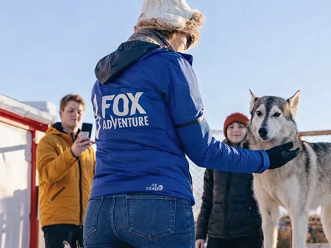 Private Adventure! Arctic Odyssey: Huskies and the Aurora Borealis!, photo 17