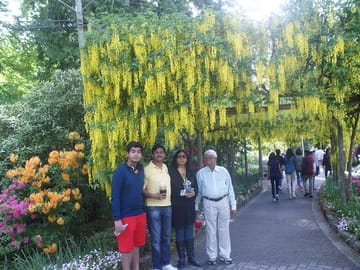 Private 4-Day Tour of Vancouver, Victoria, and Whistler