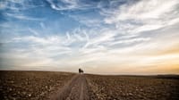 ½ Day : Desert Ride on Vintage Sidecar Moto | Private & Luxury	 7