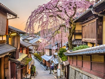10 Day Japan Private Tour Unveiling Maximum Attractions