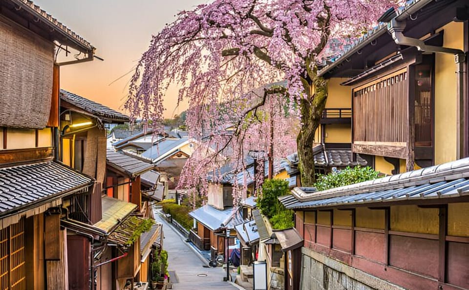 10 Day Japan Private Tour Unveiling Maximum Attractions