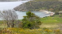Mistra Valley & Selmun Nature Walking Tour (Private Tour) 6